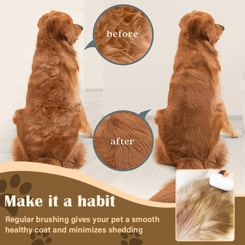 🔥2026 SALE - 2-IN-1 Pet Self-Detangling & Grooming Comb - Image 2
