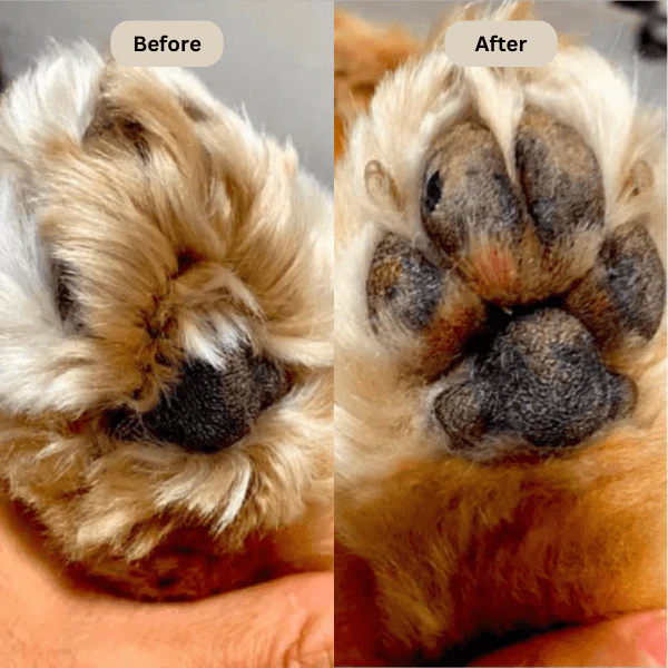 Tiktrove™ Electric Fur Trimmer - Image 10