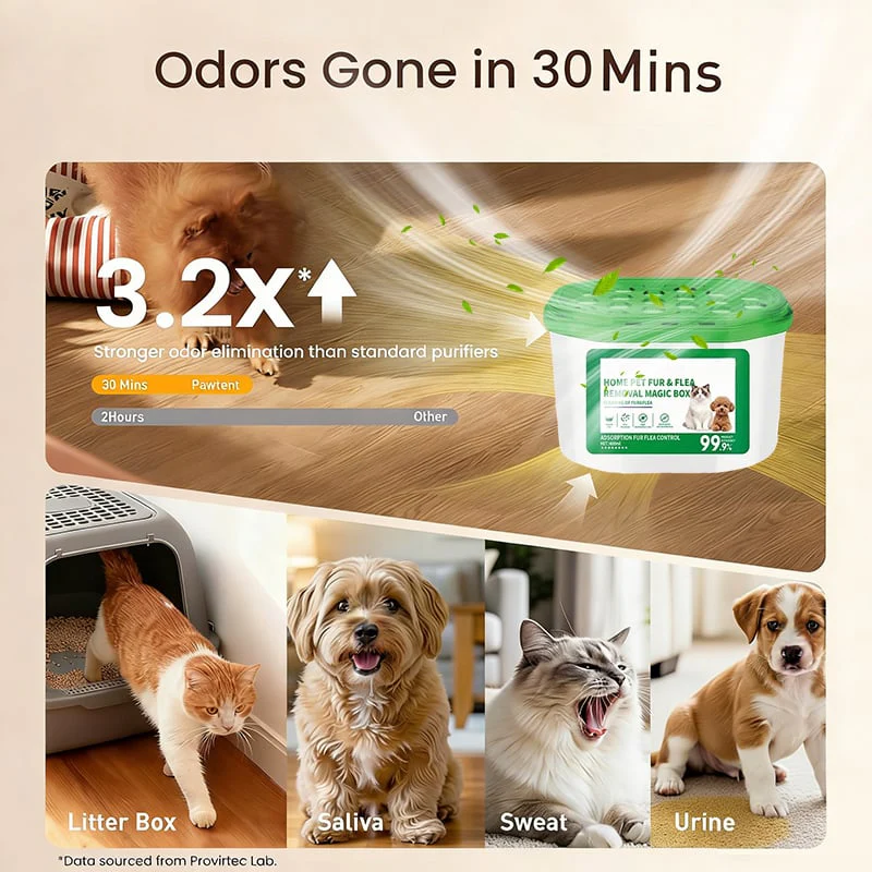 Home Pet Fur & Odor Removal Magic Box - Image 2