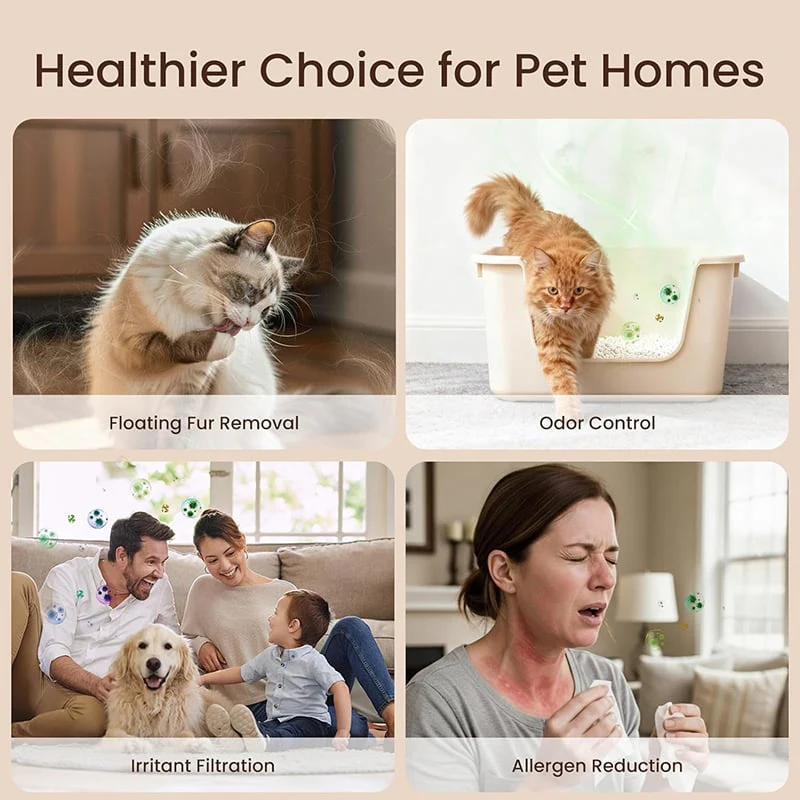 Home Pet Fur & Odor Removal Magic Box - Image 4