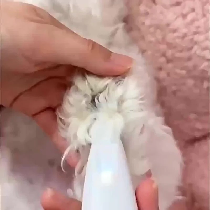 🔥😻🐕Rechargeable Pet Hair Trimmer Kit - Image 6
