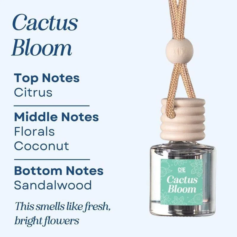 🍃Scented Car Air Freshener - Image 11