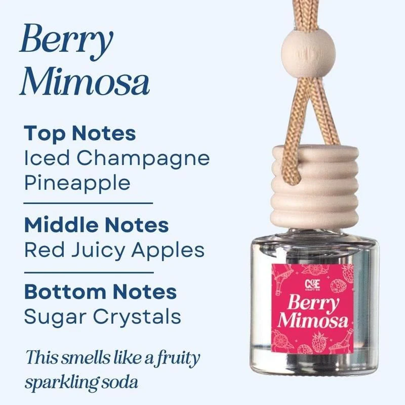 🍃Scented Car Air Freshener - Image 8