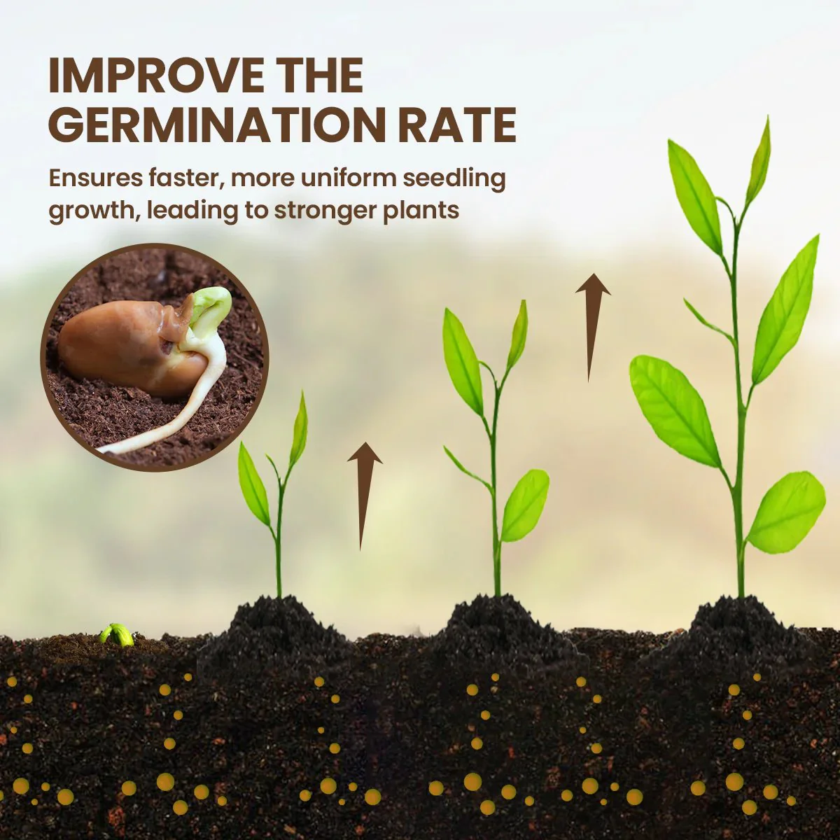 🔥Seasonal Promotion🔥-Soil Pro Activator - Image 2