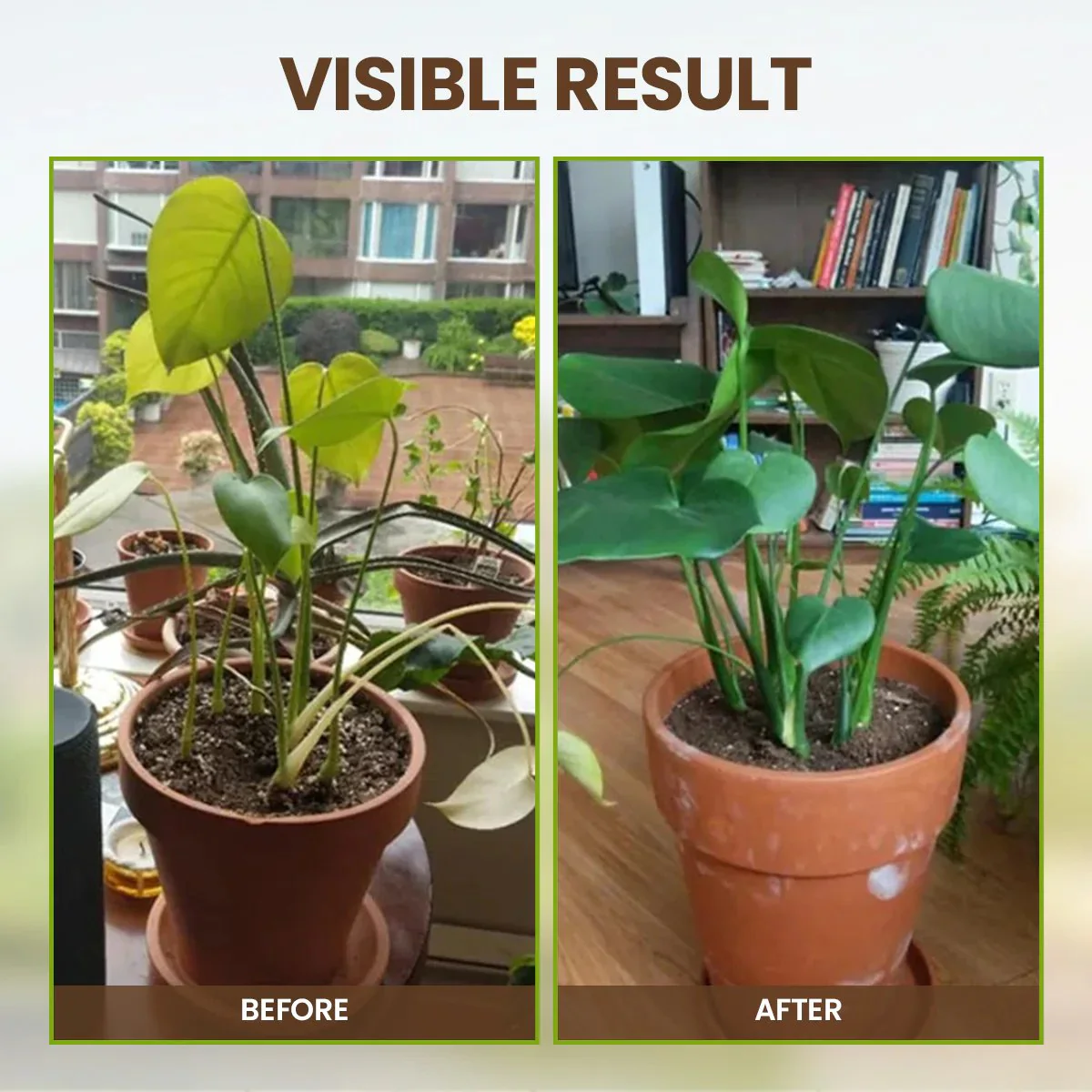 🔥Seasonal Promotion🔥-Soil Pro Activator - Image 6