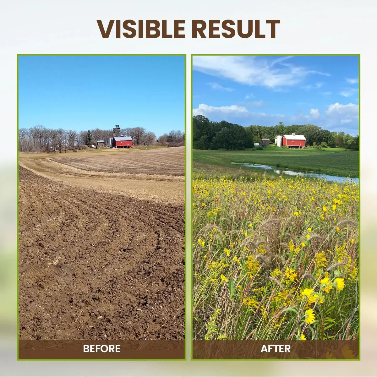 🔥Seasonal Promotion🔥-Soil Pro Activator - Image 7