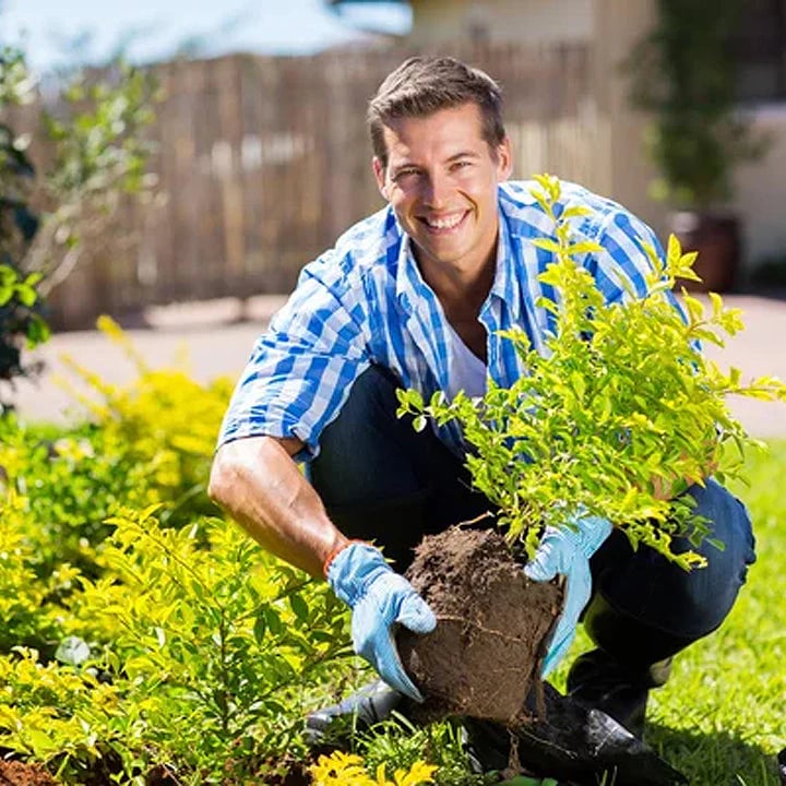 🔥Seasonal Promotion🔥-Soil Pro Activator - Image 8