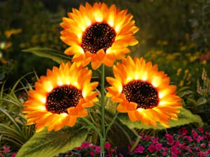 🌻Mother's Day Sale 49% OFF- 🌞Solar LED Sunflower Garden Lights-29.6inch/74cm - Image 11