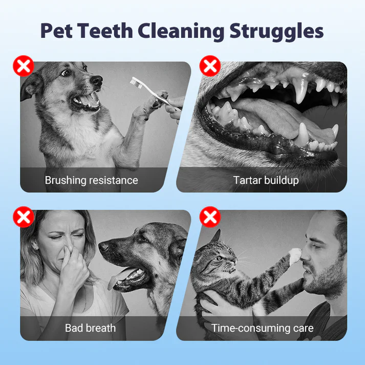 🔥Teeth Cleaning Spray for Pets - Image 2