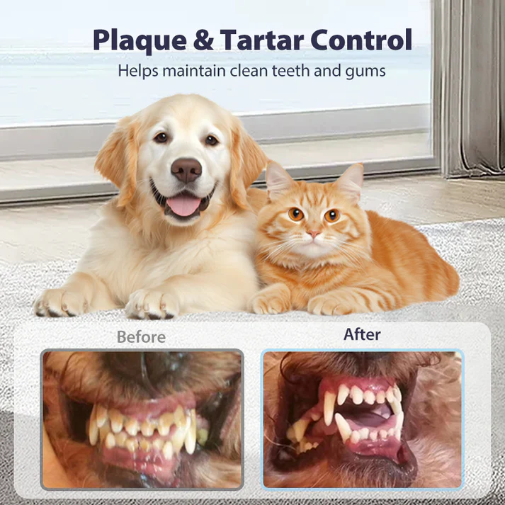 🔥Teeth Cleaning Spray for Pets - Image 3