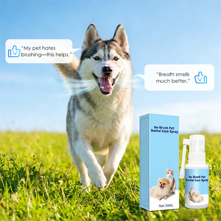 🔥Teeth Cleaning Spray for Pets - Image 7
