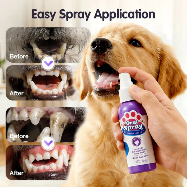 🔥Teeth Cleaning Spray for Pets - Image 11