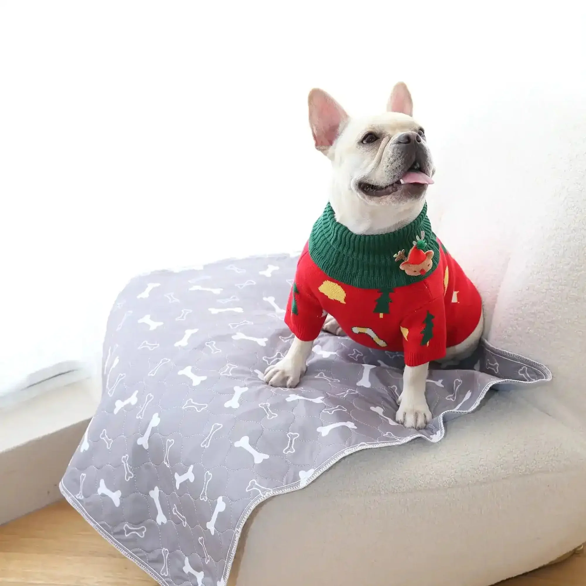 Tiktrove pet pee pad - Image 4