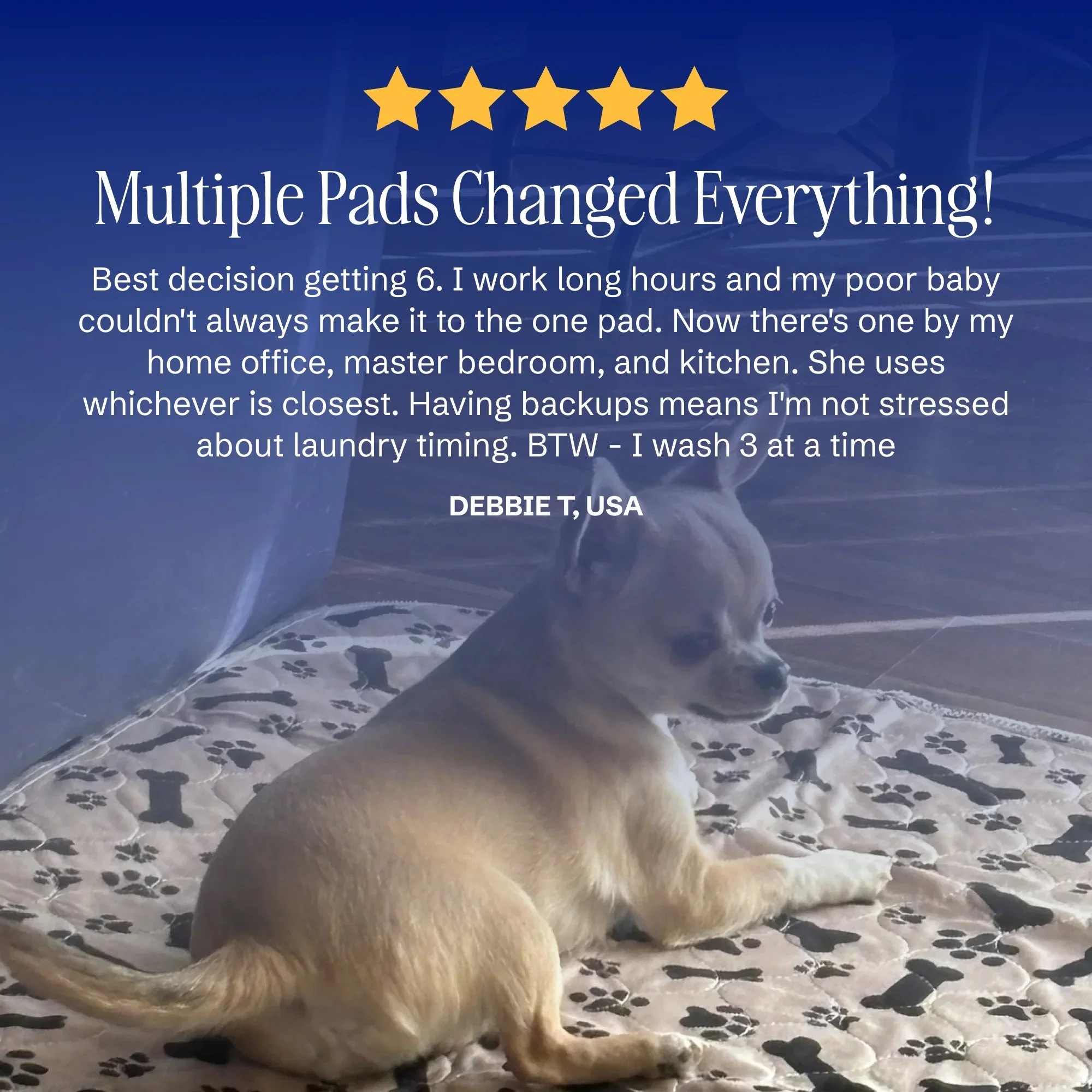 Tiktrove pet pee pad - Image 5