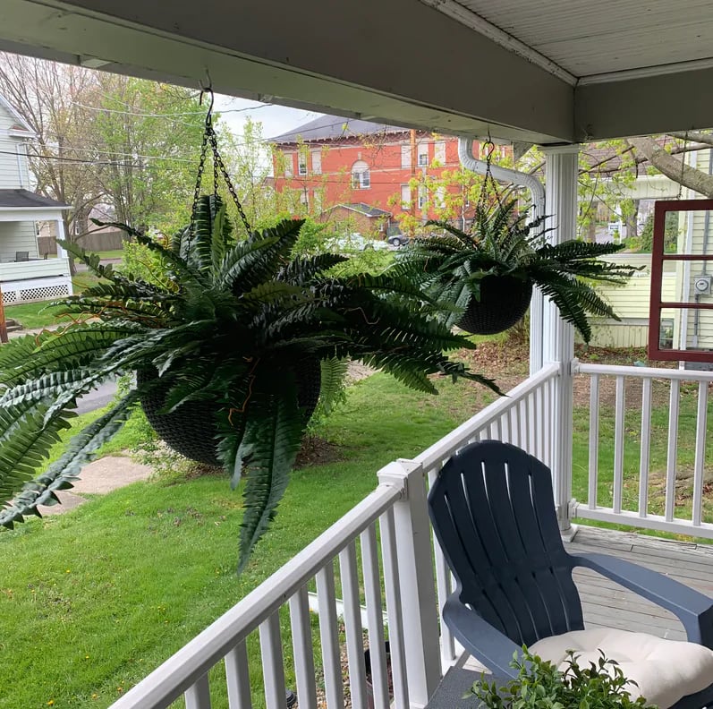 🌿UV Resistant Lifelike Artificial Boston Fern - Image 12